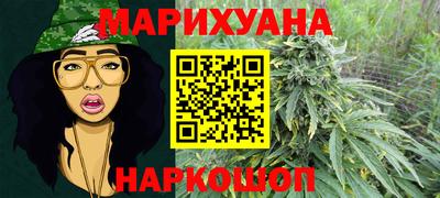 сатива Бузулук