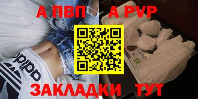 спиды Гай